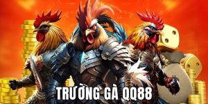 Trường gà QQ88